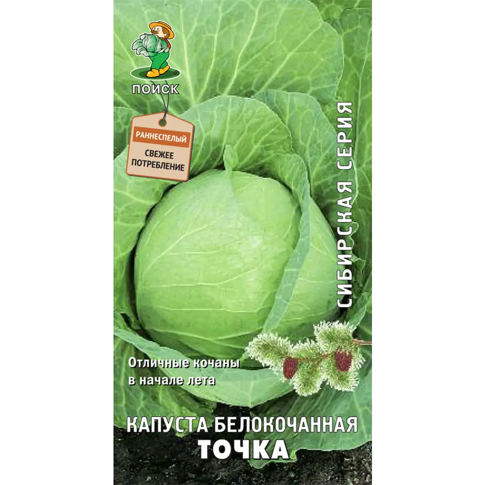 Семена Капуста белокочанная «Точка» ПОИСК STLM-2200017