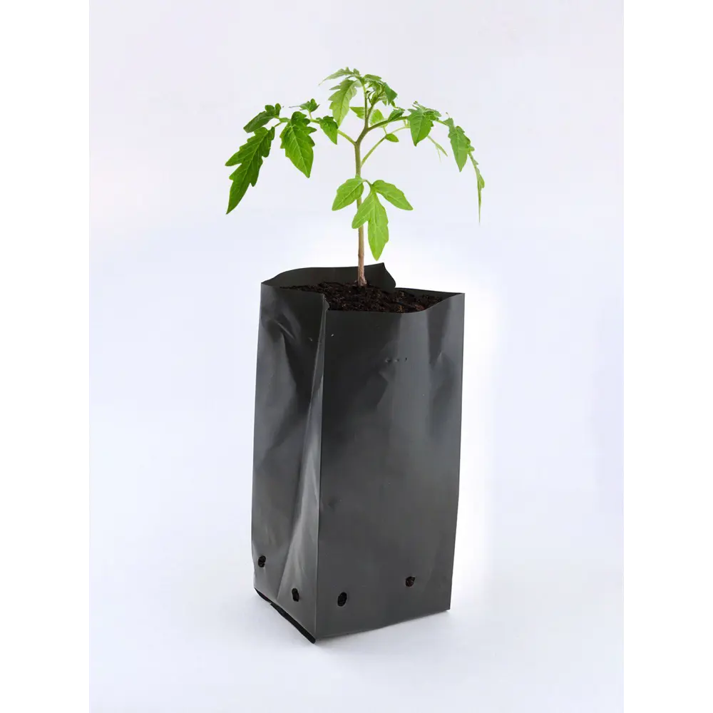 Santreyd — Пакеты для рассады 2 л с дренажными отверстиями, 10 шт 89346806 STLM-0953640 - Вид №2