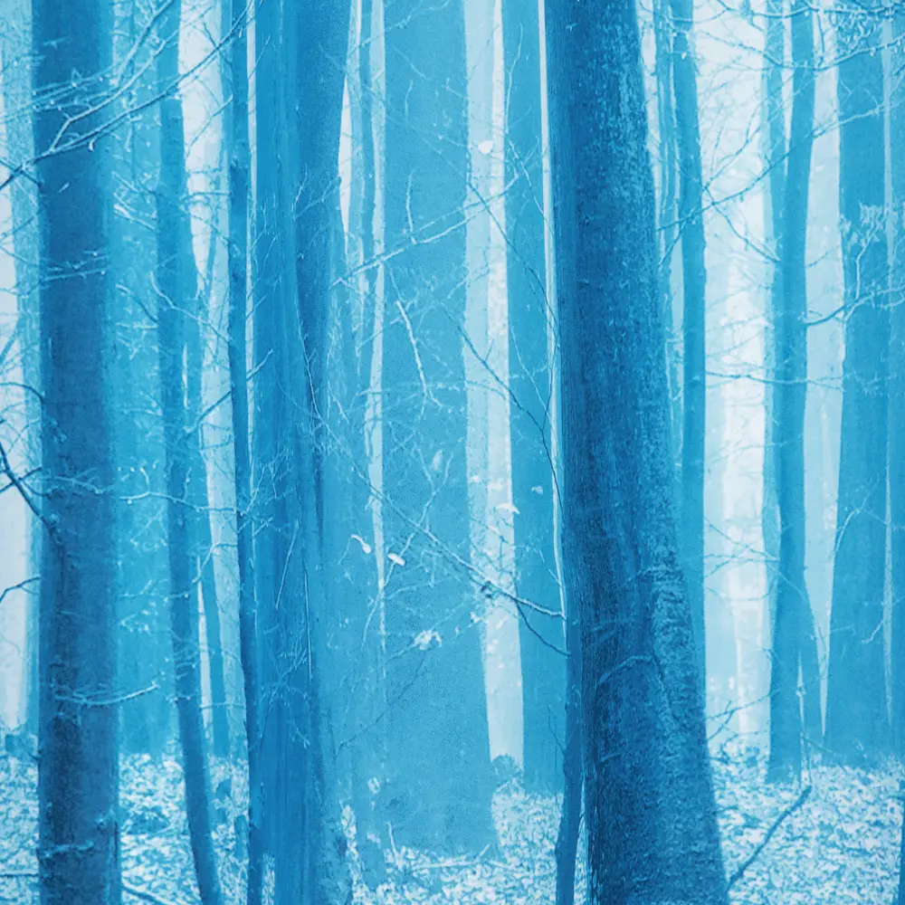 Штора для ванны Bacchetta Forest с кольцами 180x200 см полиэстер , цвет мультиколор 84621381 STLM-2160515 Шторы текстильные - Вид №2