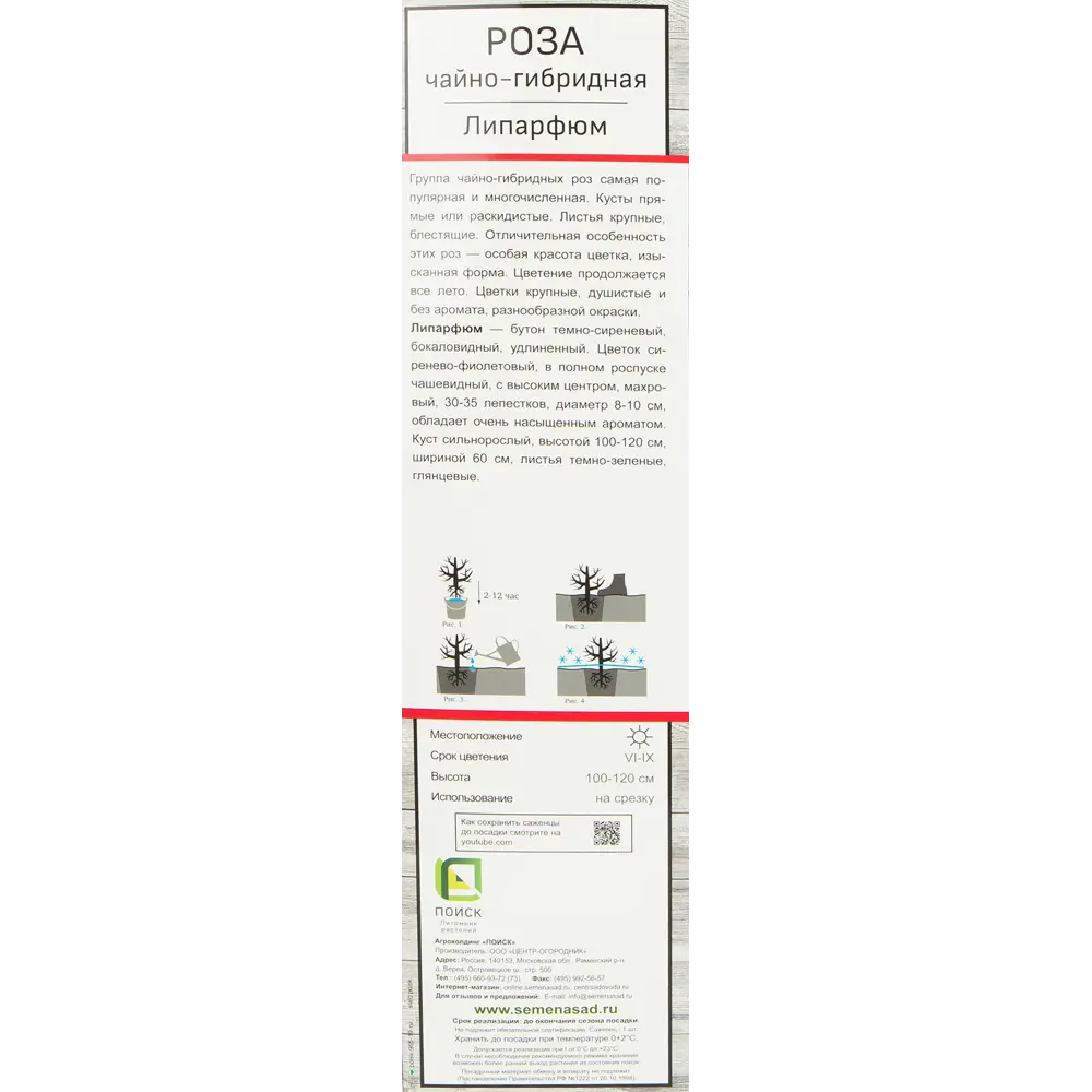 Роза чайно-гибридная Липарфюм в тубе Поиск Инвест 18347900 STLM-2174691 Santreyd  - Вид №1