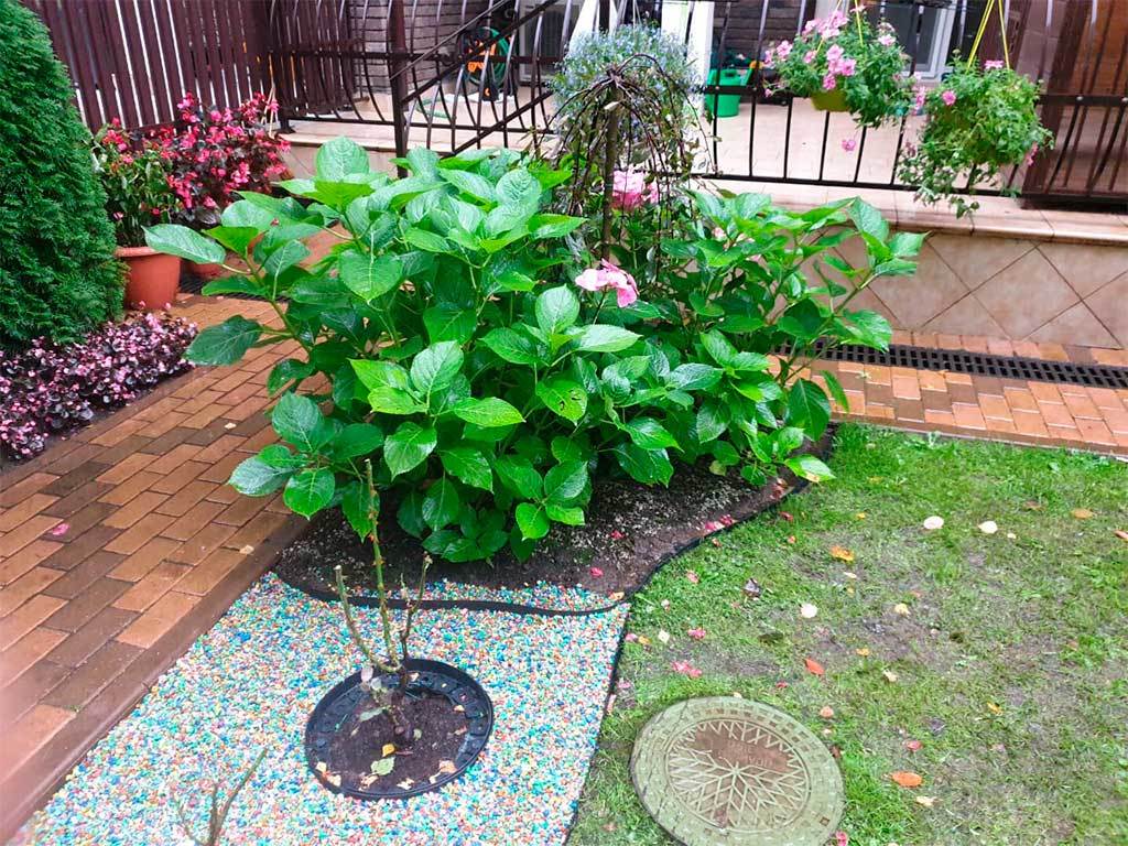 Садовый бордюр "Манго" ПП 38 мм, чёрный, 10 метров ГеоПластБорд GPBST-35 - Вид №11