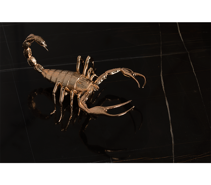 0-272 Центральный стол Metamorphosis  Boca Do Lobo  - Вид №13