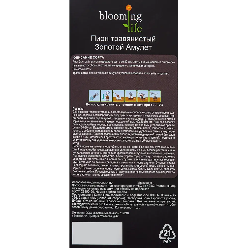 Пион травянистый Золотой амулет в тубе 82539512 STLM-2006861 BLOOMING LIFE  - Вид №2