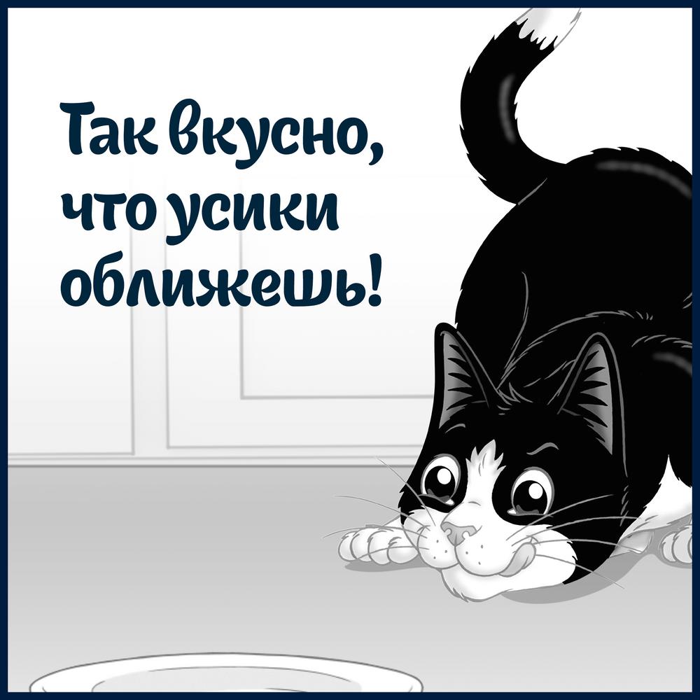 ПР0054771 Корм для кошек Sensations Супервкус говядина и сыр, в желе, пауч 75 г FELIX  - Вид №8