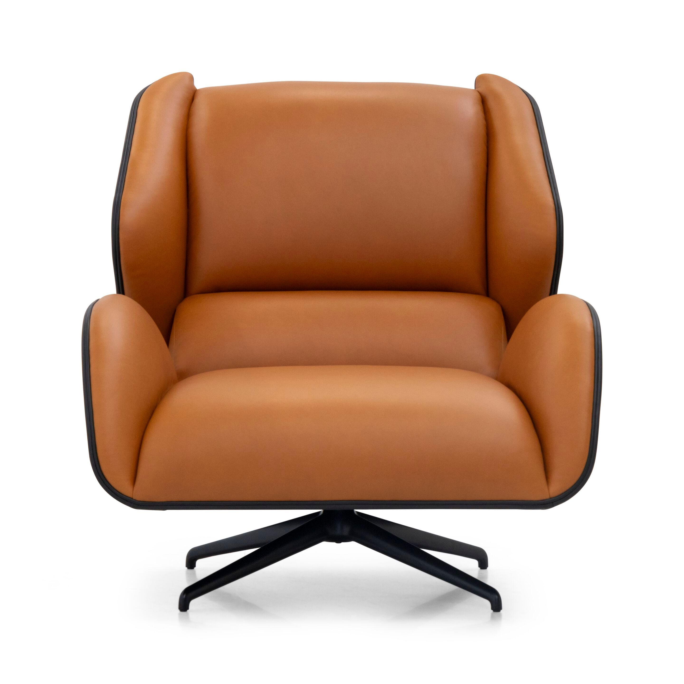 Кожаное кресло с подлокотниками Wayne Enterprises Home Collection WE-015 ARCH-00125778 - Вид №1