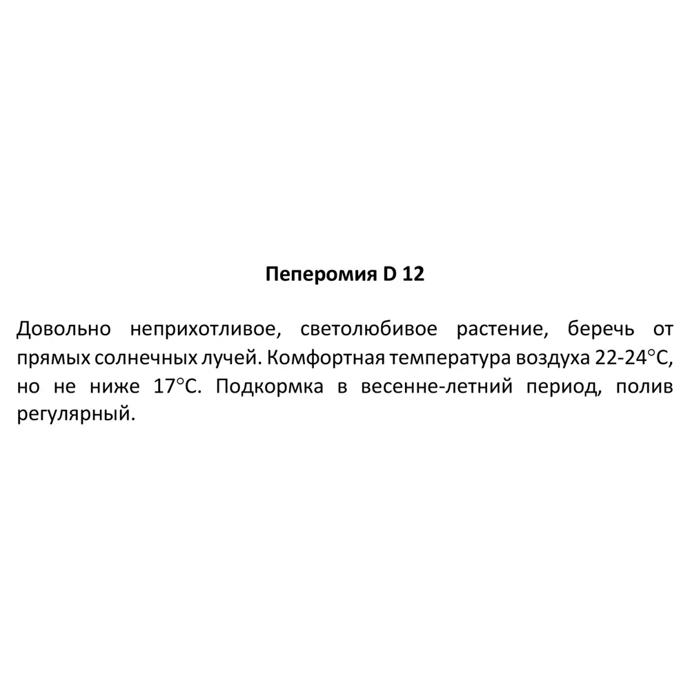Пеперомия ø12 h25 см 83275147 STLM-2191556 Santreyd  - Вид №2