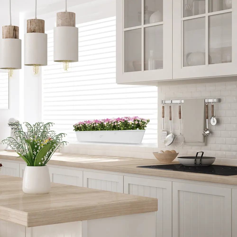 Хризантема Santreyd микс - яркое горшочное растение для дома и сада 14032484 STLM-0004210 - Вид №3