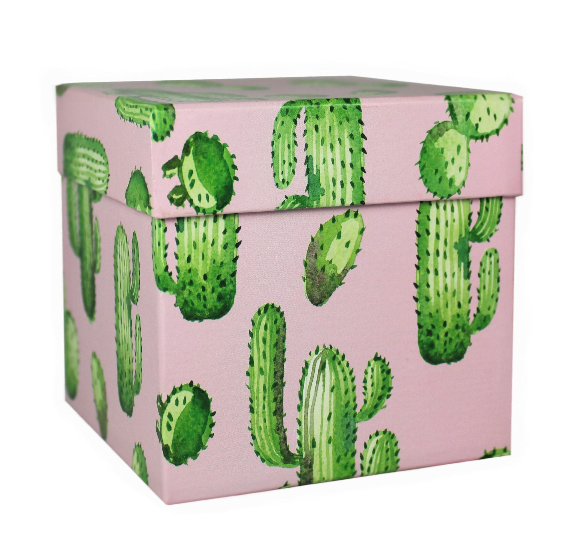 509868 Коробка подарочная "Кактусы", 9,5 х 9,5 х 9,5 см Santreyd 