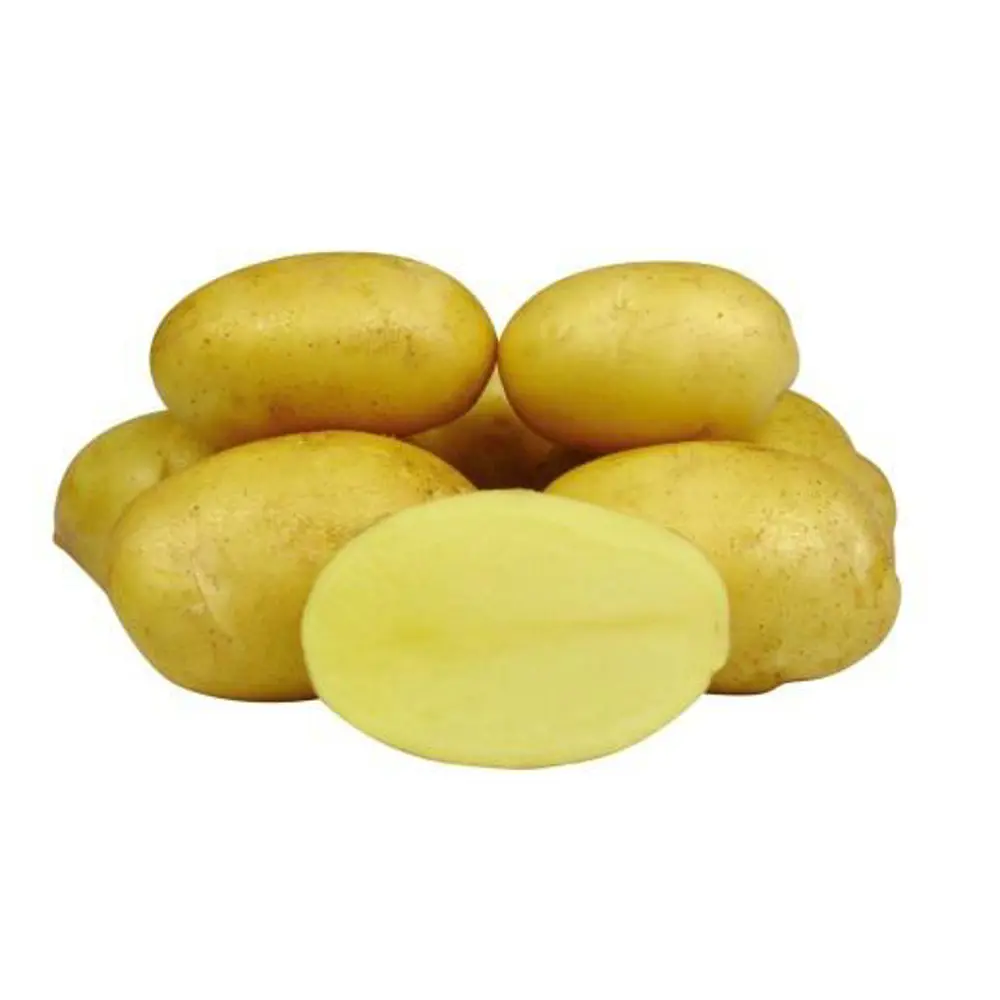 Картофель семенной Королева Анна РС 2, 2 кг, сетка 83701036 STLM-2142589 Santreyd 