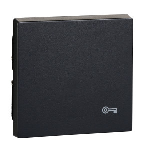 MTN3303-0414 Клавиша , антрацит Schneider Electric Merten System M