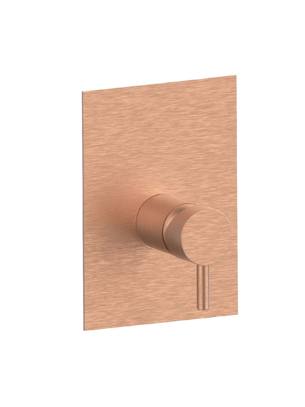 Встраиваемый однорычажный смеситель для душа с пластиной Rubinetterie Frattini Pepe XL ARCH-00136208 - Вид №16