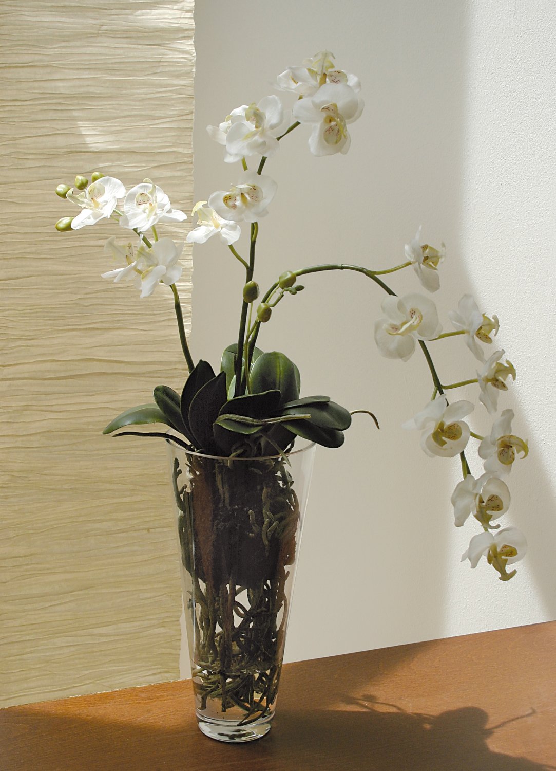 2579 777 a2 Пластиковая орхидея Phalaenopsis, ваза с водой, 80 см, real touch, белая H-andreas  - Вид №1