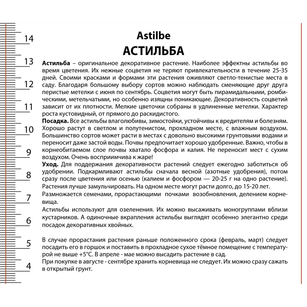 Астильба Арендса Нью Вейв - многолетнее корневище с разноцветными соцветиями 89433489 ПОИСК STLM-1580770 - Вид №2