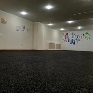 Покрытие рулонное Alegria каучук 1000x120 см 10 мм цвет черный 87812193 STLM-2136079