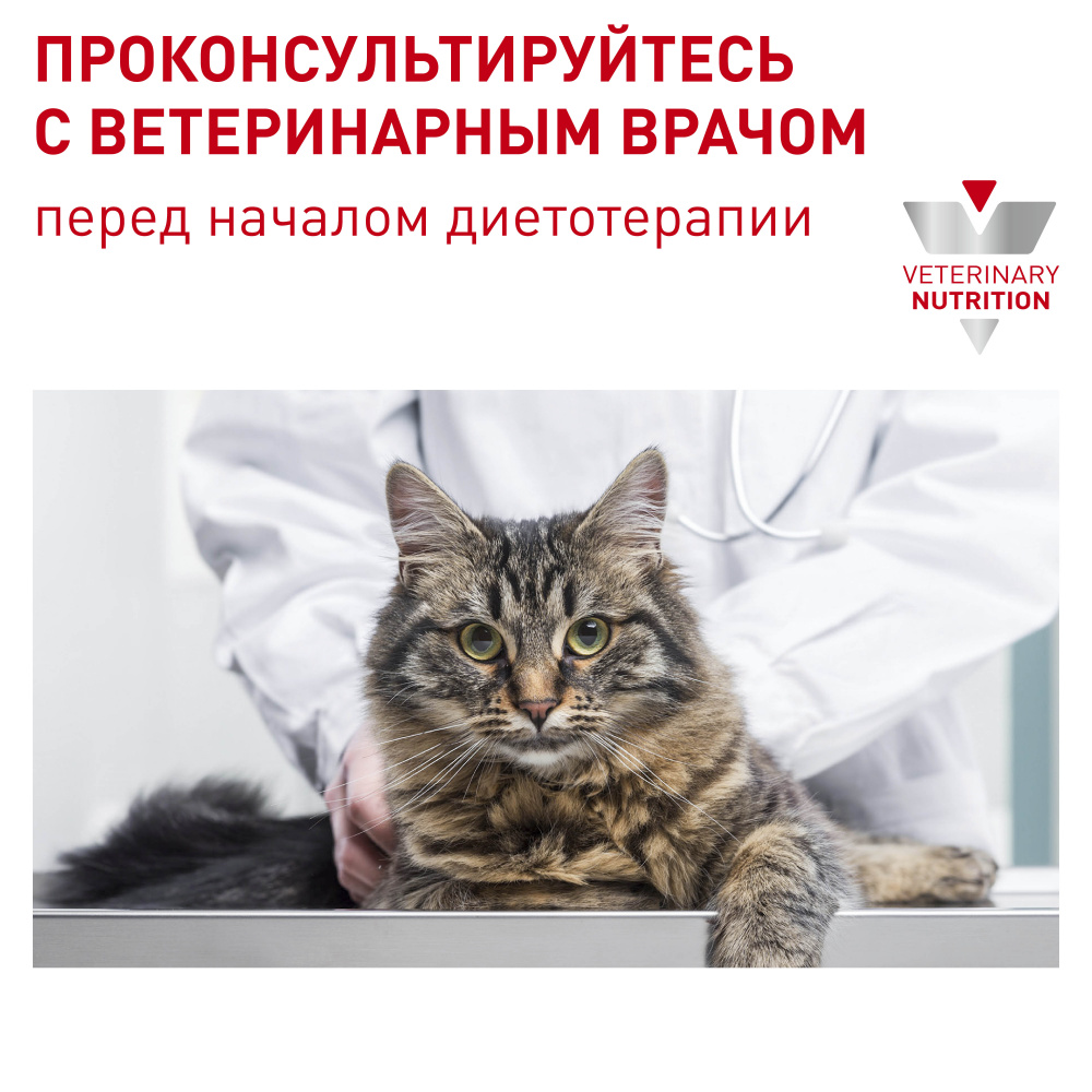 ПР0053527 Корм для кошек Vet Diet Neutered Satiety Balance для поддержания формы после кастрации сух. 8кг ROYAL CANIN  - Вид №6