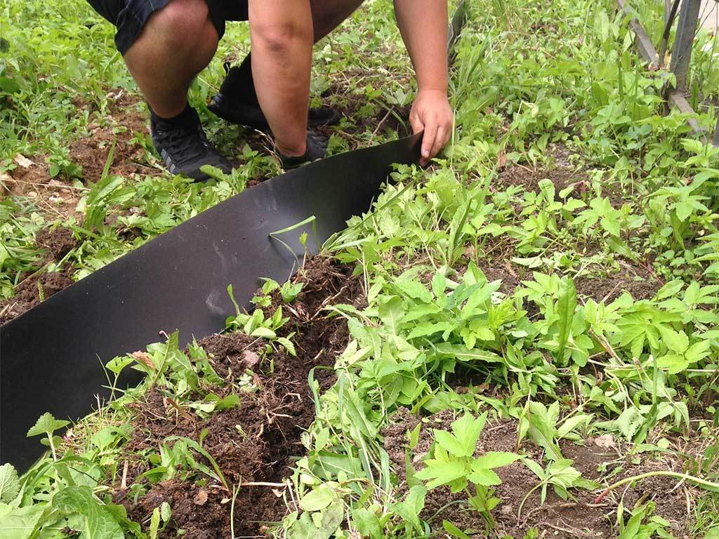 Лента бордюрная 600 мм x 10 м, 2 мм ГеоПластБорд GPBST-49 - Вид №7