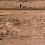 SOR27555 Расписной сосновый ящик ijlbrown  - Вид №12