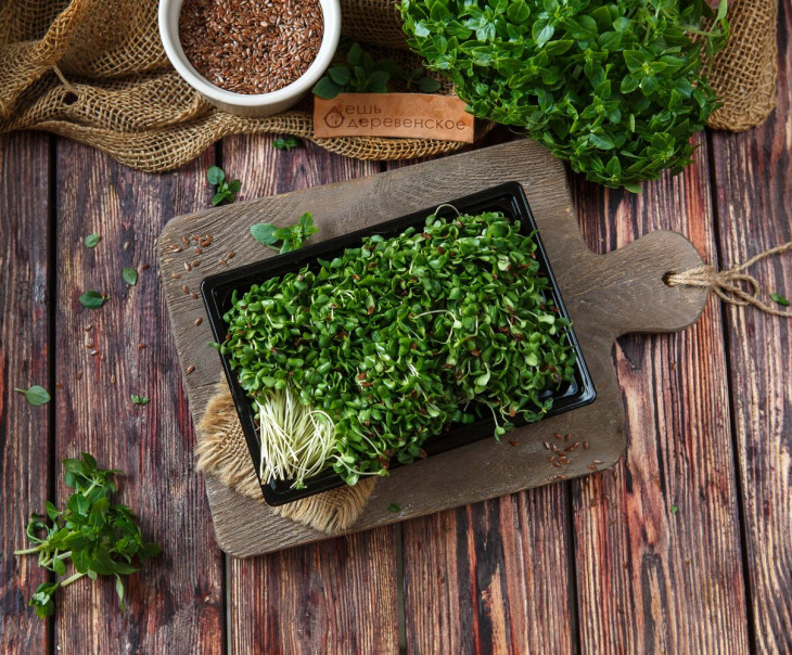 5890 Микрозелень льна Вкусляндия  - Вид №2