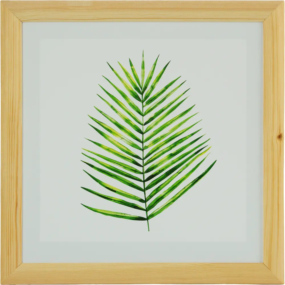 Постер в раме 40x40 см Лист пальмы 82206344 STLM-2087756 Santreyd 