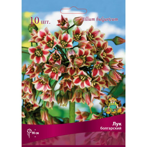 Лук болгарский размер луковицы 7/8, 10 шт.
