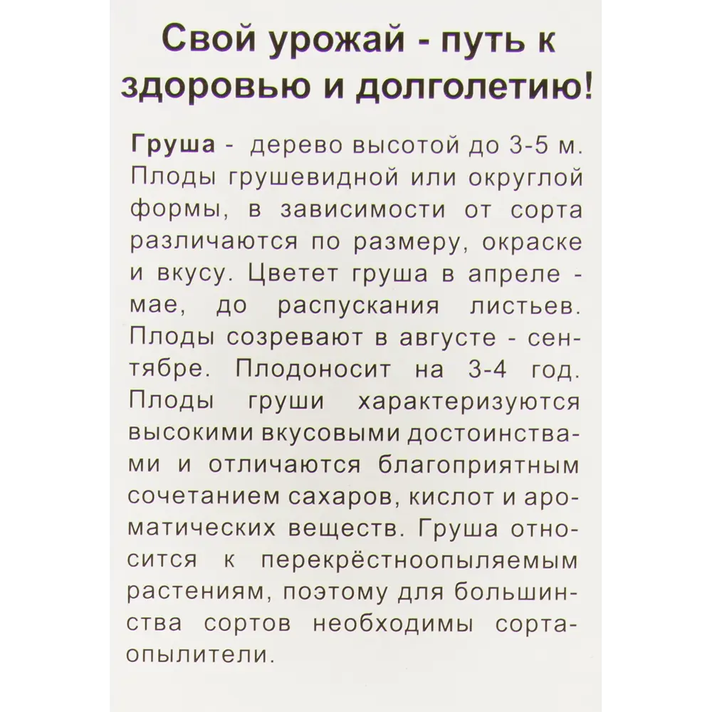 Груша Отрадненская в тубе Поиск инвест 82528979 STLM-2150345 Santreyd  - Вид №1