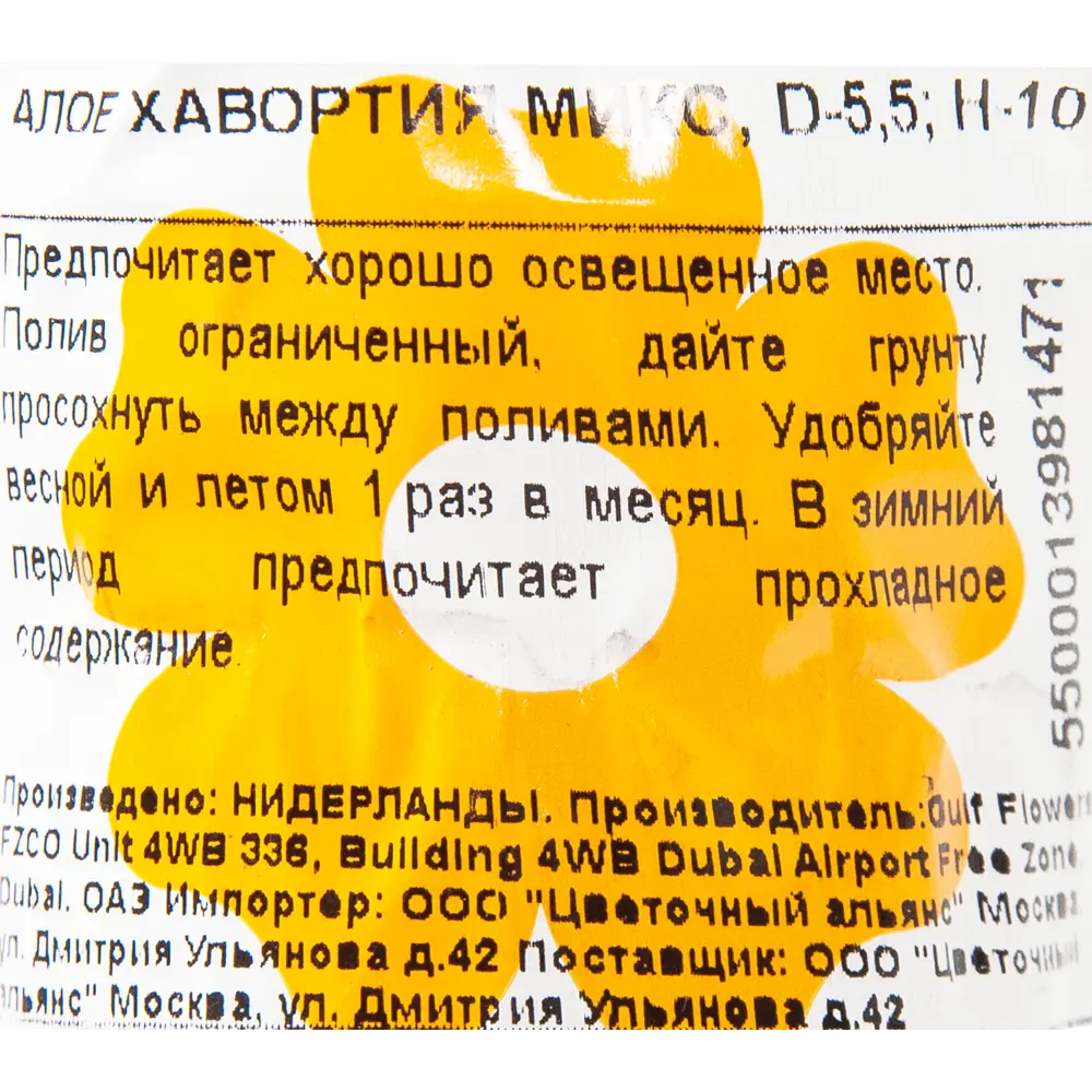 Алоэ хавортия микс 5.5x10 см 82850438 STLM-2169576 Santreyd  - Вид №2