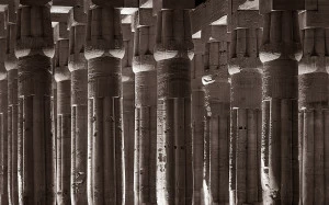 Фотокартина 50х80 см "Лотосы" PANKOVSKY STUDIO ПЛАСТИФИКАЦИЯ 015931 Бежевый;коричневый