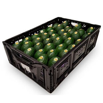 Авокадо в ящике ~4 кг Santreyd 31030 - Вид №1