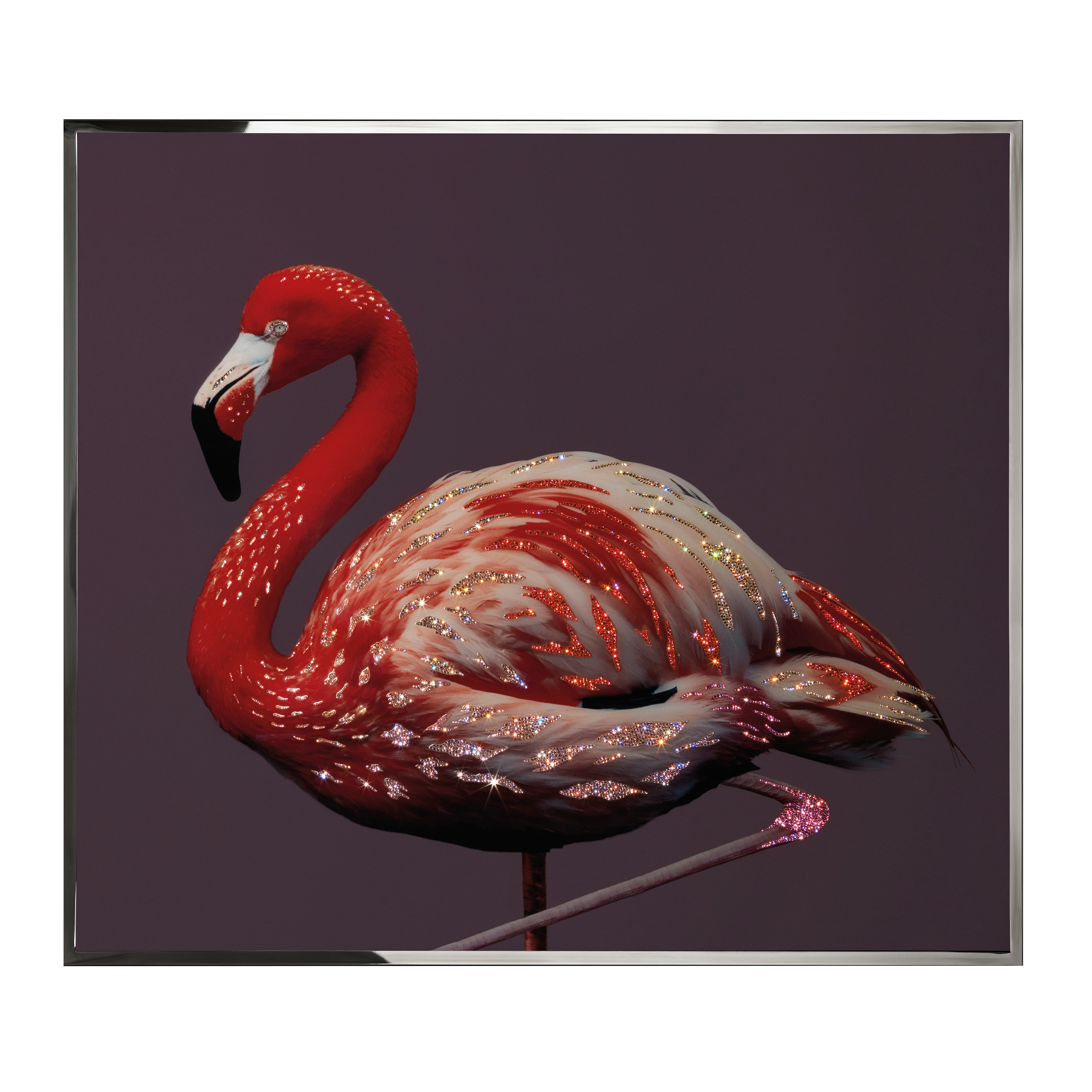 Fenicottero Смешанная техника Visionnaire  - Вид №1