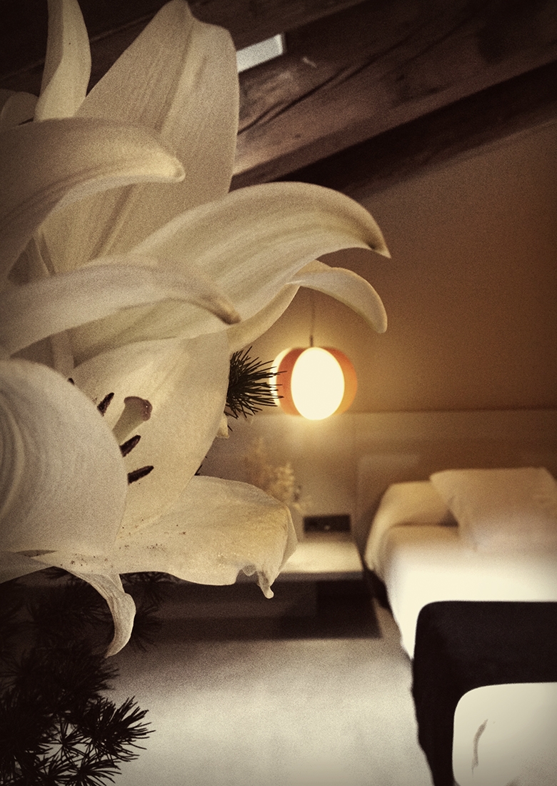 004208 Люстра LZF Carambola Santreyd - Вид №1