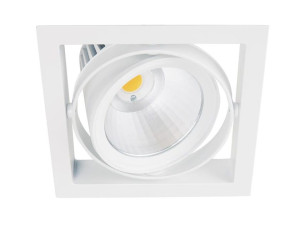 Регулируемый светодиодный прожектор с порошковым покрытием