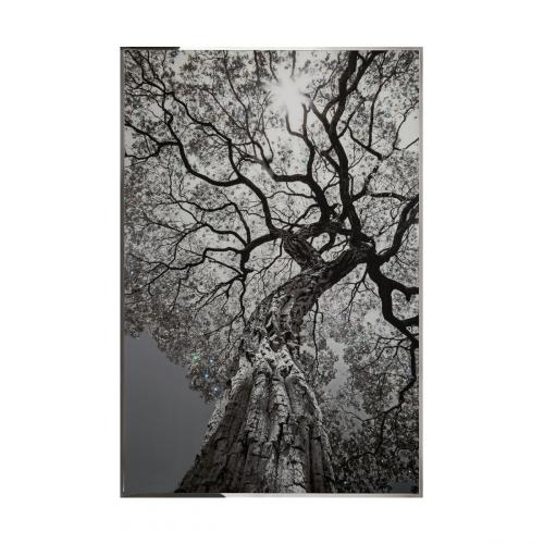 Arbor Смешанная техника Visionnaire 