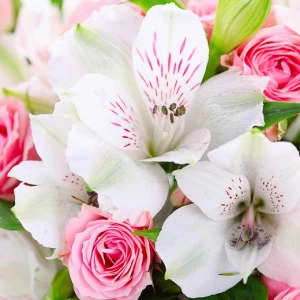 C1-380 Фотообои DIVINO Collection C 2.38х3 м