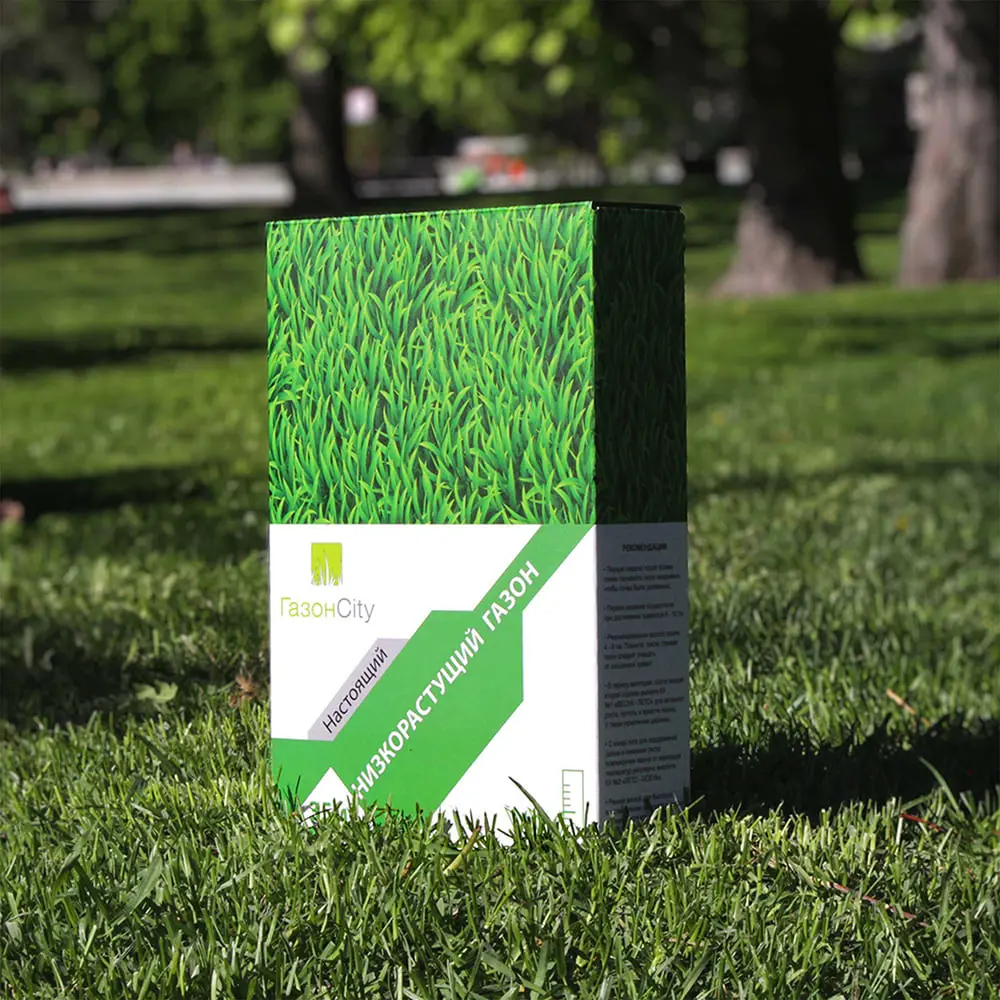 Семена газона Газонcity Низкорастущий 1 кг STLM-2172252 - Вид №1