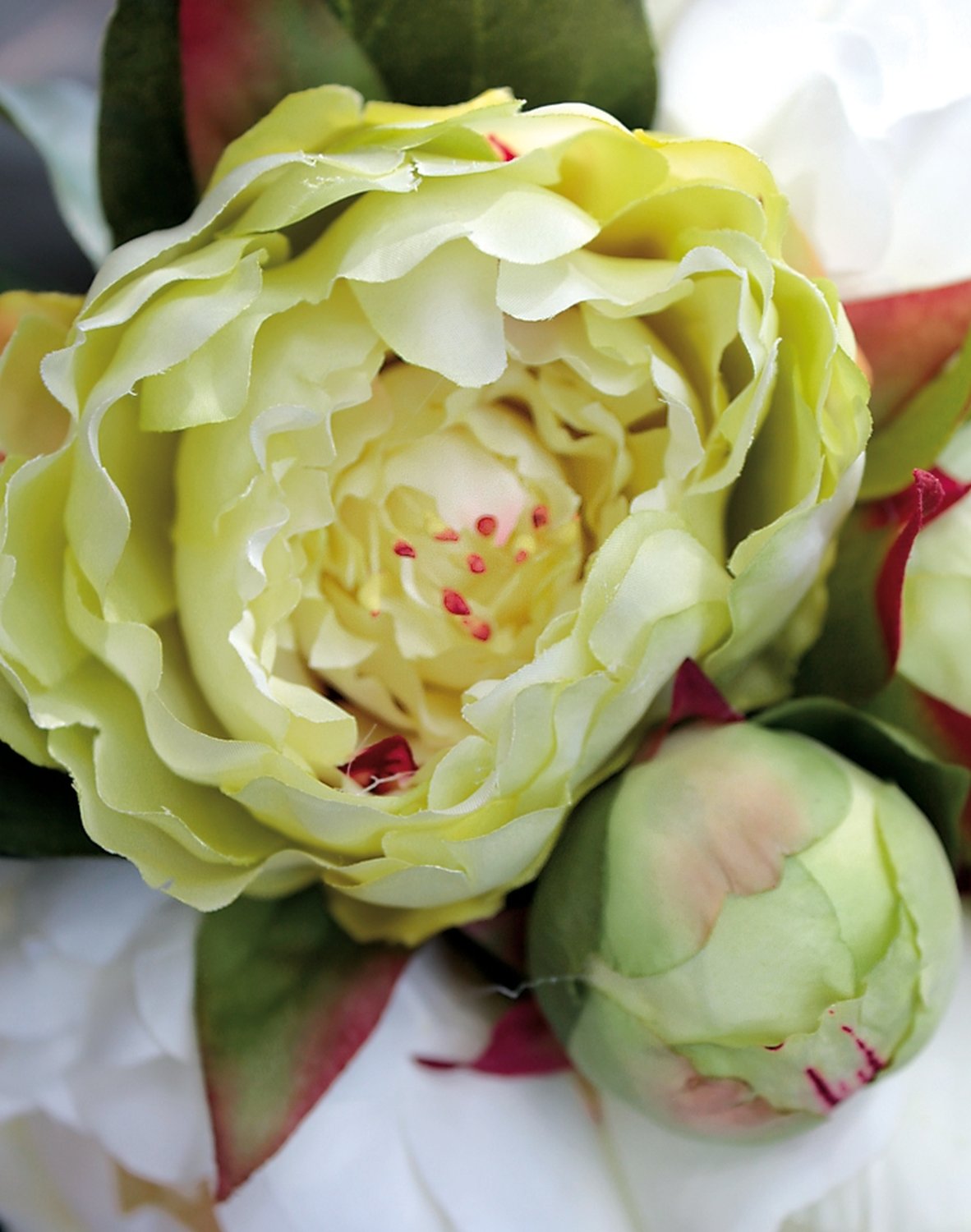 2618 708 a3 Пион шелковый, 6-кратный, 35 см, бело-зеленый H-andreas  - Вид №4