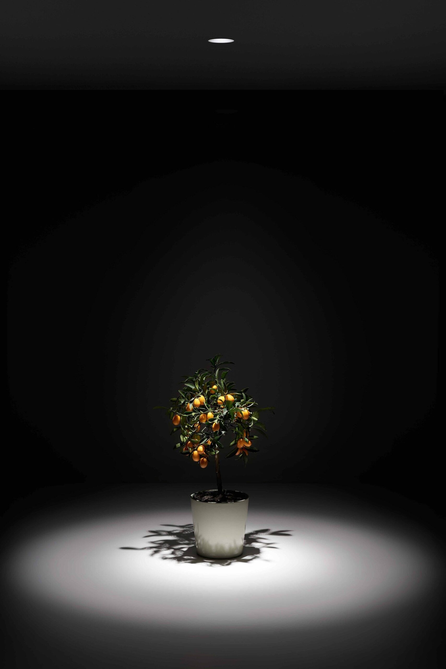 Утопленный светодиодный прожектор PURALUCE DEEP MINI ARCH-00147564 - Вид №2