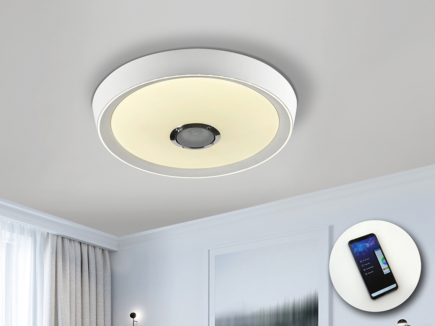 087335 Потолочный светильник белый Ø50 Schuller Jazz - Вид №1