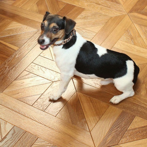 Модульный паркет Marco Ferutti Linea Linea Термо Дуб с брашью (Текстурированная) 405х405 мм 2600600032 - Вид №8