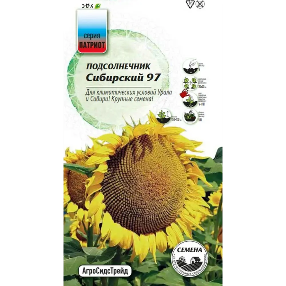 Семена овощей Агросидстрейд Патриот подсолнечник Сибирский 97 STLM-2040052 - Вид №2