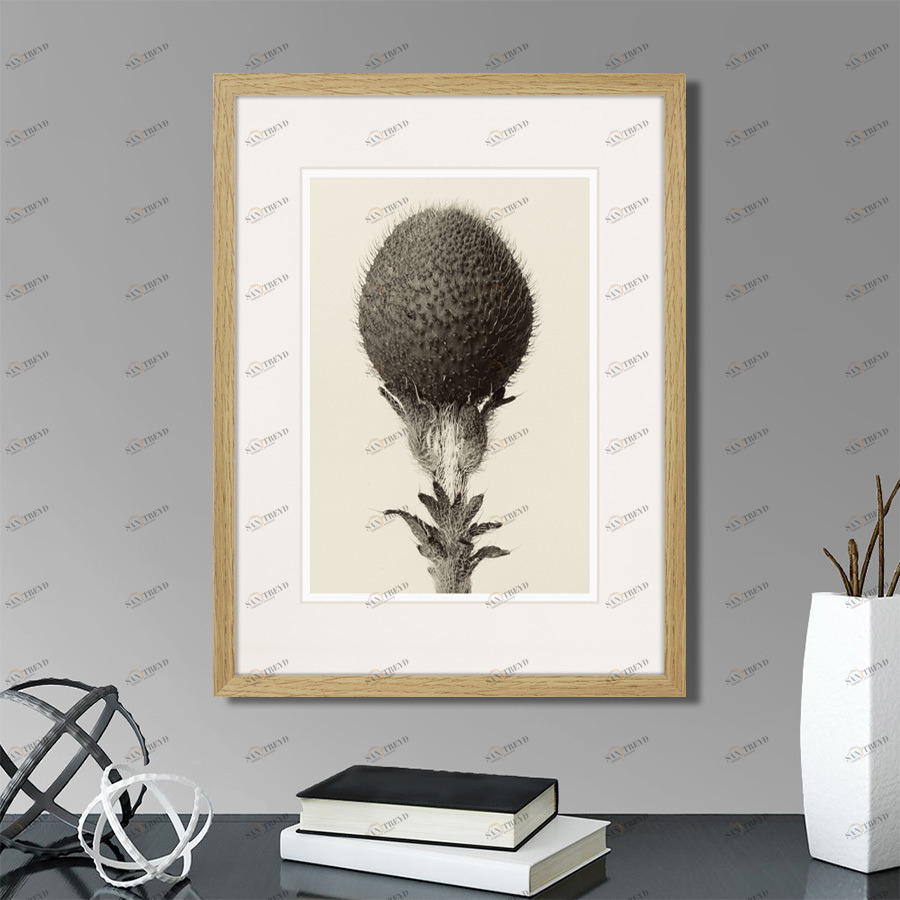 Картина: Botanical philosophy of forms №6, 1912г. КАРТИНЫ В КВАРТИРУ  264880 Разноцветный 