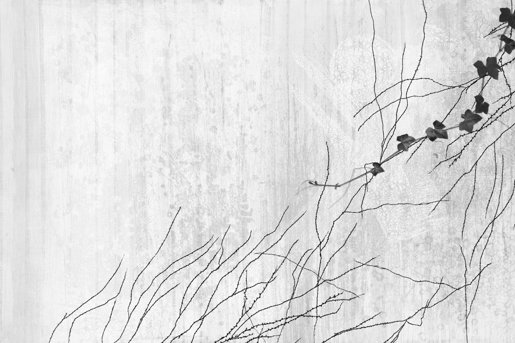 Обои с рисунком GLAMORA A ORIENTE ARCH-00103161 - Вид №1