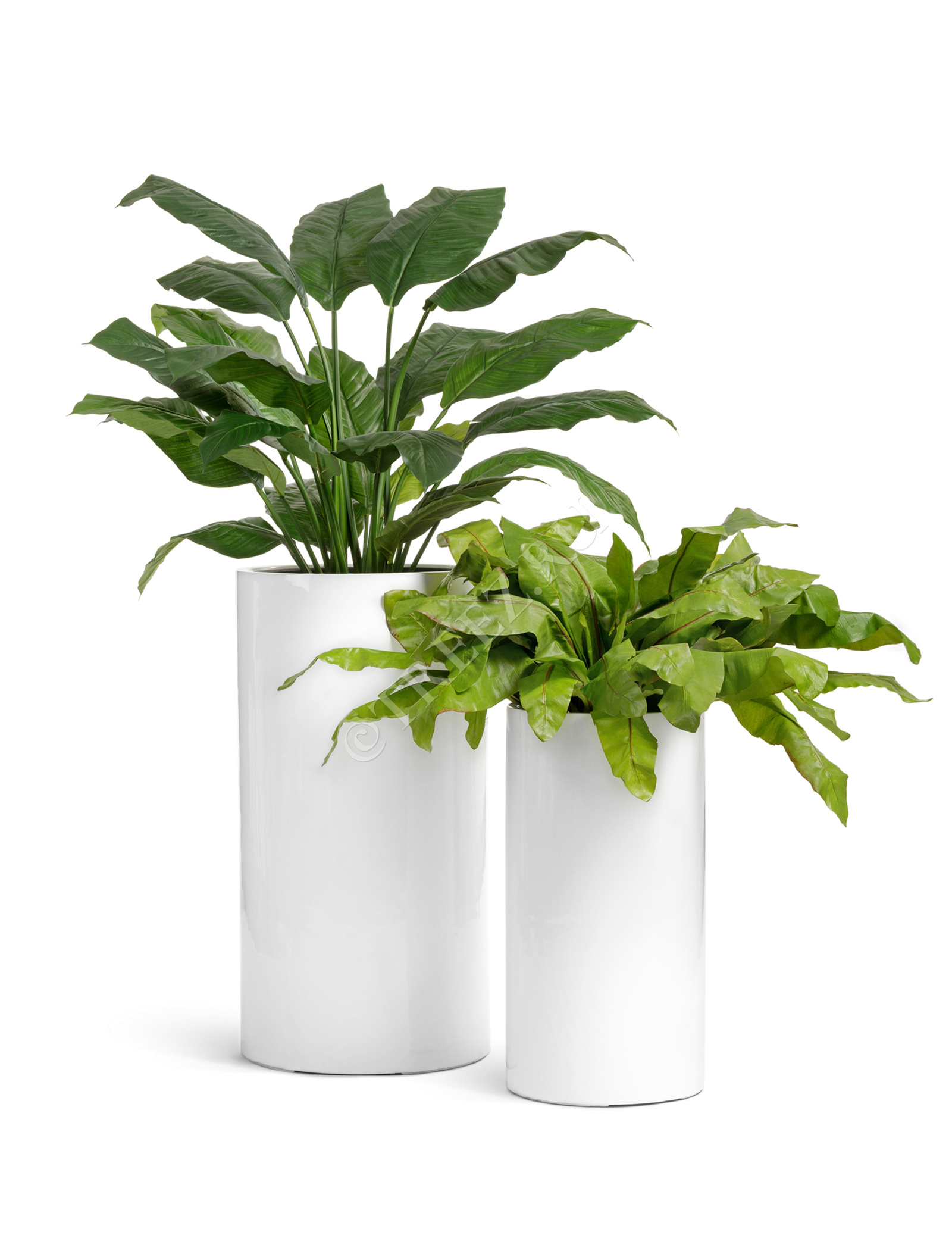 41.3320-05-039-WH-60 Кашпо  Effectory - серия Gloss - Цилиндр высокий- Белый глянцевый лак Цветочная коллекция  - Вид №6