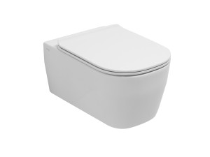 Туалет висит в витрине без бриды