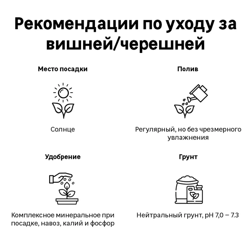 Черешня Овстуженка h200 см Поиск Инвест 84399339 STLM-2019409 Santreyd  - Вид №2