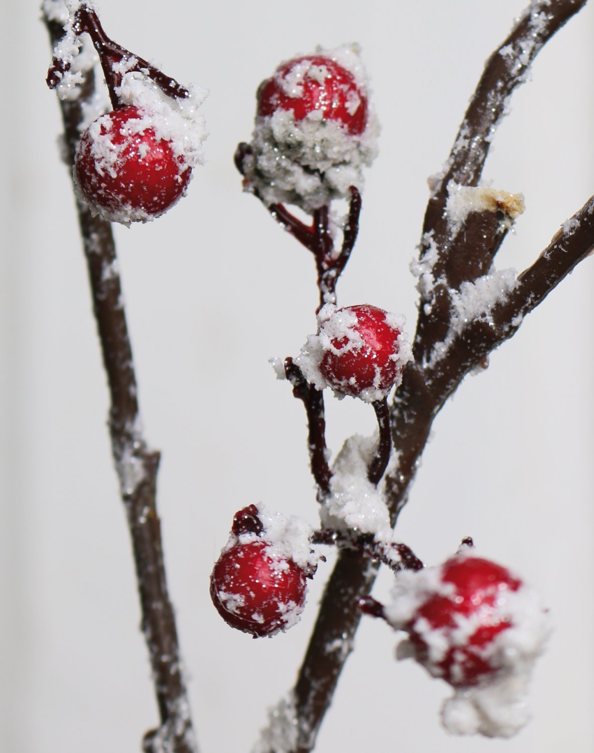 8118 419 a3 Ветка искусственной ягоды со снегом, 70 см, матовый красный H-andreas  - Вид №3