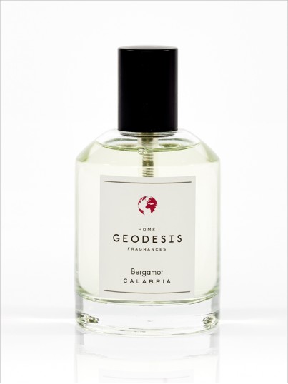 2003 Спрей-ароматизатор интерьера 100 мл Geodesis Santreyd 