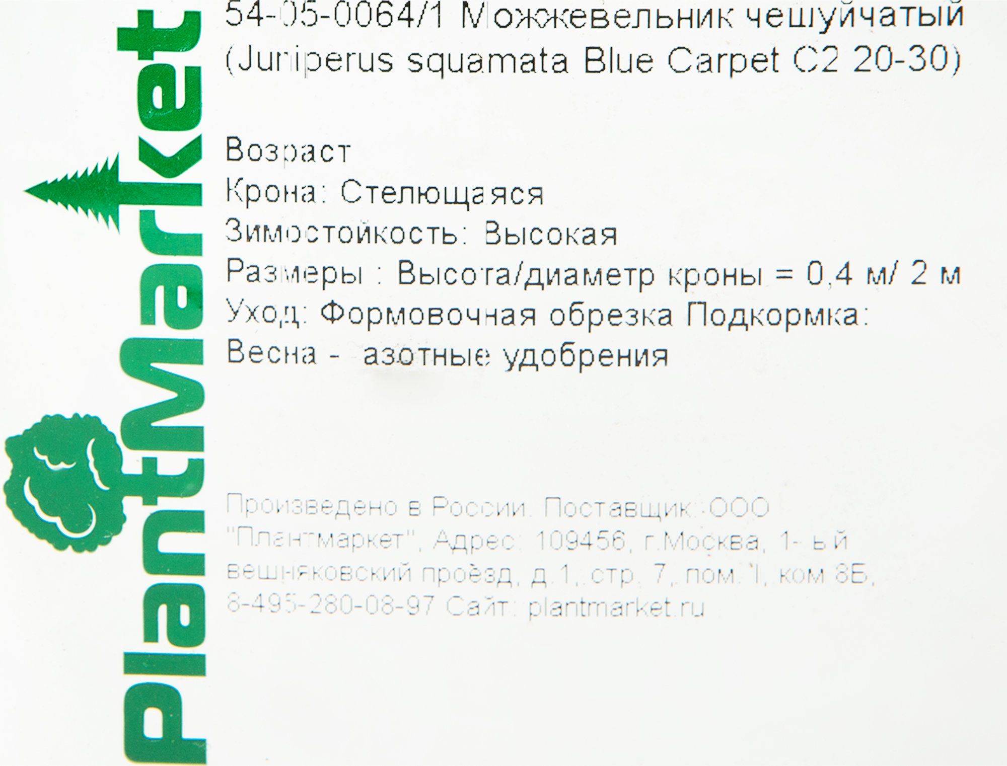 Можжевельник чешуйчатый «Блю Карпет» С2 20-30 см 81969340 PLANTMARKET STLM-0016073 - Вид №1
