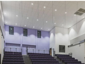 Rockfon Акустические потолочные панели из минеральной ваты Design bianco