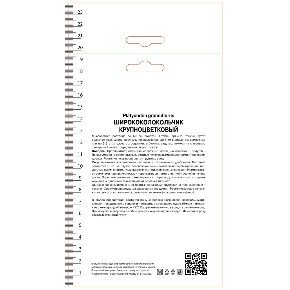 Ширококолокольчик крупноцветковый Фуджи Пинк 89452316 STLM-2177023 ПОИСК  - Вид №1
