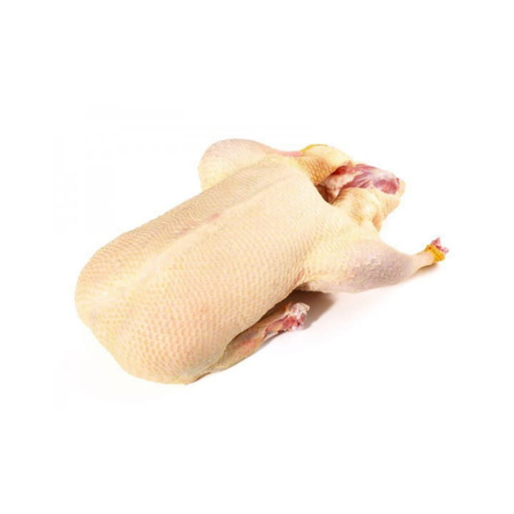 Гусь Линда ~4 кг Santreyd 18912 - Вид №1